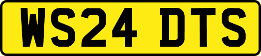 WS24DTS