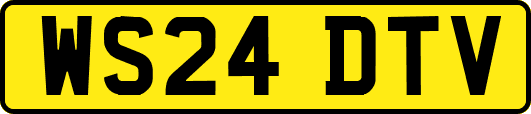 WS24DTV