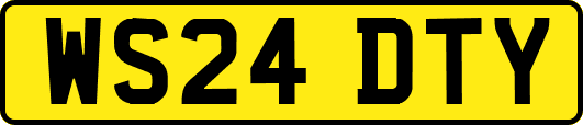 WS24DTY