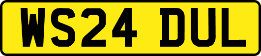 WS24DUL