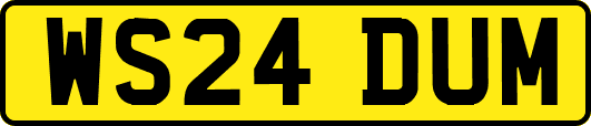 WS24DUM