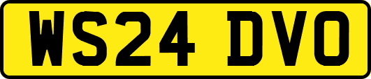 WS24DVO