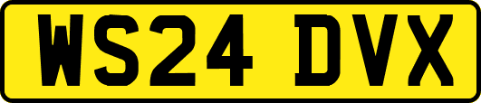 WS24DVX