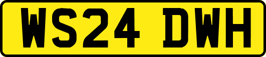 WS24DWH