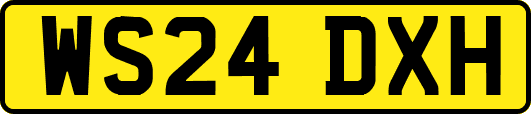 WS24DXH