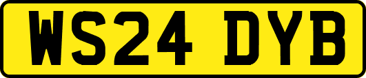 WS24DYB