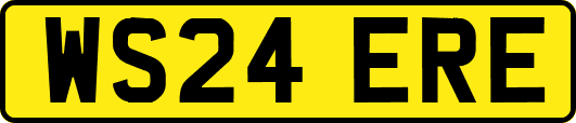 WS24ERE