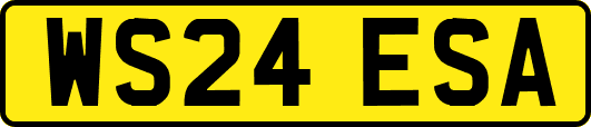 WS24ESA