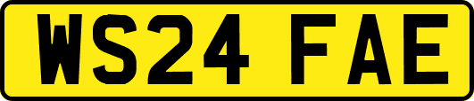 WS24FAE