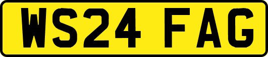 WS24FAG