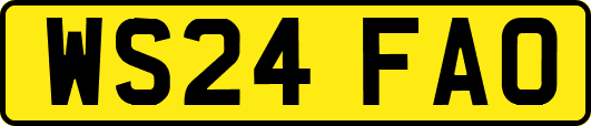 WS24FAO