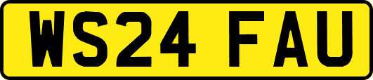 WS24FAU