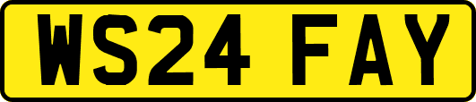 WS24FAY