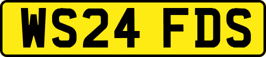 WS24FDS