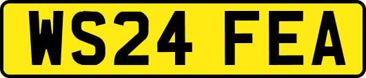 WS24FEA