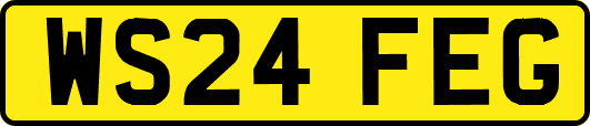 WS24FEG