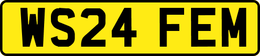 WS24FEM