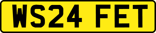 WS24FET