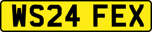 WS24FEX
