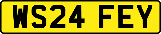 WS24FEY