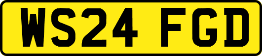 WS24FGD