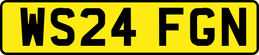 WS24FGN