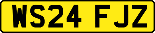WS24FJZ
