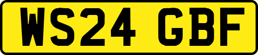 WS24GBF