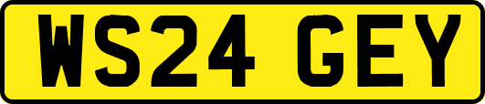 WS24GEY