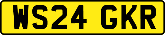 WS24GKR