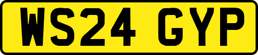 WS24GYP