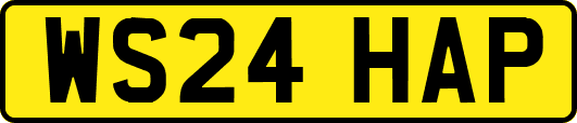 WS24HAP