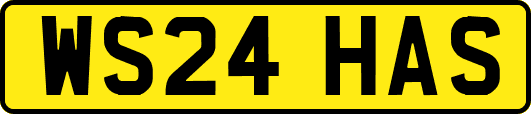 WS24HAS