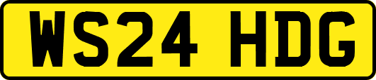WS24HDG