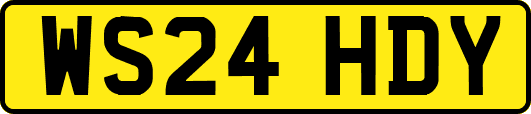 WS24HDY