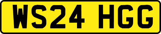 WS24HGG