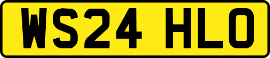WS24HLO