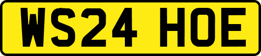 WS24HOE