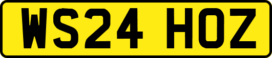 WS24HOZ