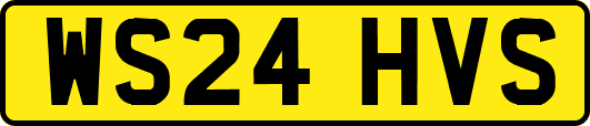 WS24HVS