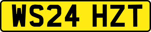 WS24HZT