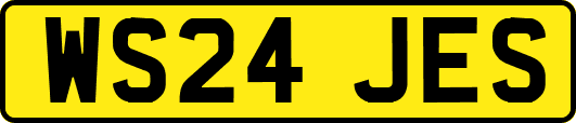 WS24JES