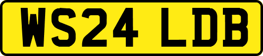 WS24LDB