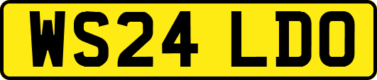 WS24LDO