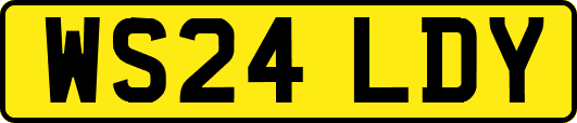 WS24LDY