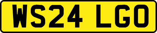 WS24LGO