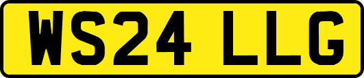 WS24LLG