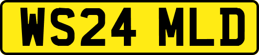 WS24MLD