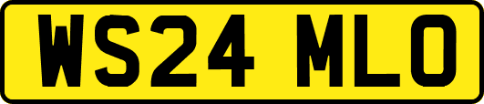 WS24MLO