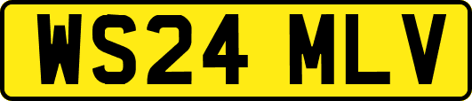 WS24MLV